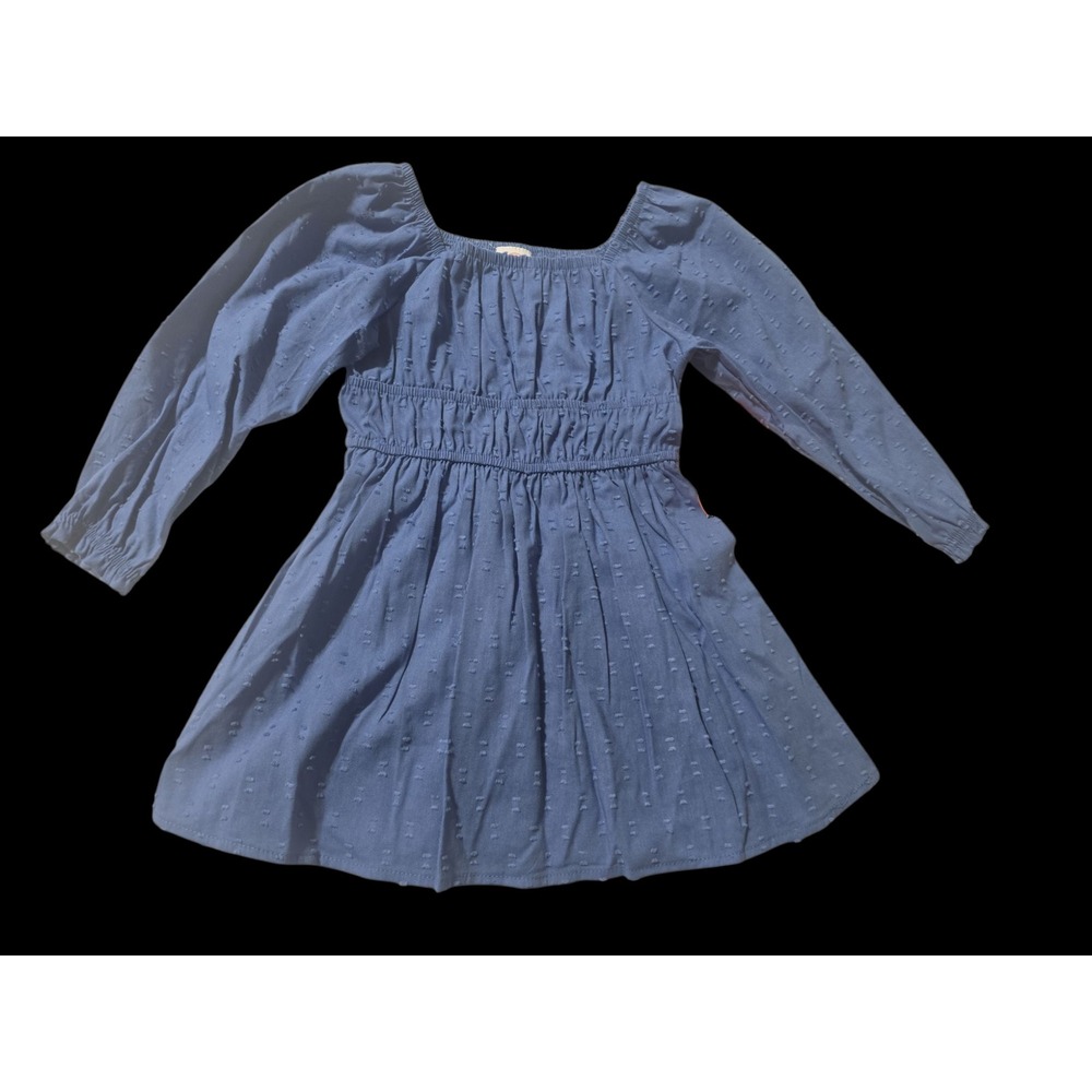 Wonder Nation Girls 2T Blue Swiss Dot Long Sleeve Smocked Dress